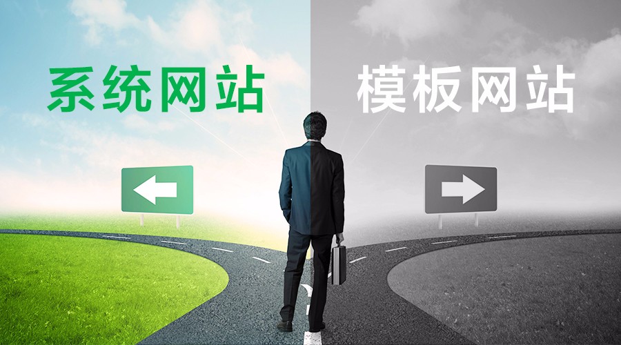 系统网站VS模板网站