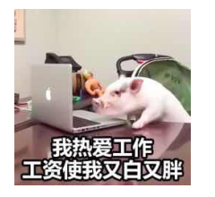 鹏博十二时辰之营运部篇